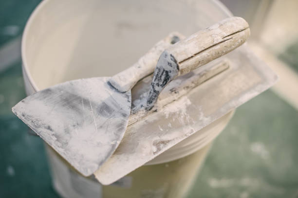 Best Industrial Mold Remediation  in Hallandale Beach, FL