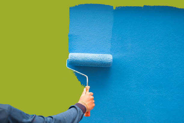 Reliable Hallandale Beach, FL Mold Removal Solutions