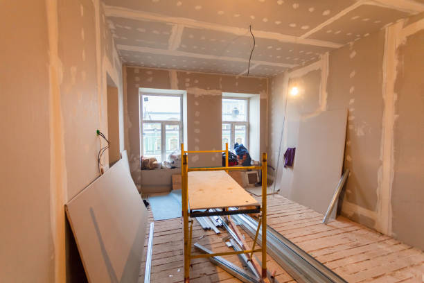 Best Basement Mold Removal  in Hallandale Beach, FL