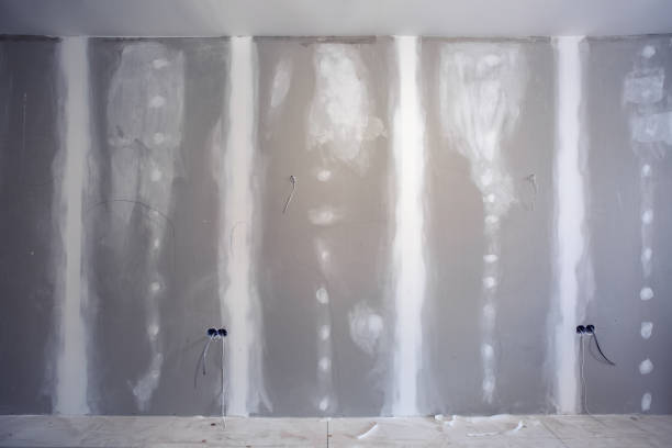 Best HVAC Mold Inspection and Cleaning  in Hallandale Beach, FL